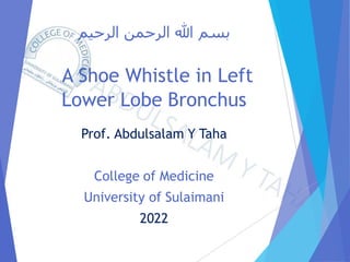 ‫الرحيم‬ ‫الرحمن‬ ‫هللا‬ ‫بسم‬
A Shoe Whistle in Left
Lower Lobe Bronchus
Prof. Abdulsalam Y Taha
College of Medicine
University of Sulaimani
2022
 