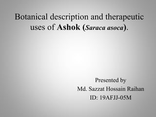 Botanical description and therapeutic
uses of Ashok (Saraca asoca).
Presented by
Md. Sazzat Hossain Raihan
ID: 19AFJJ-05M
 