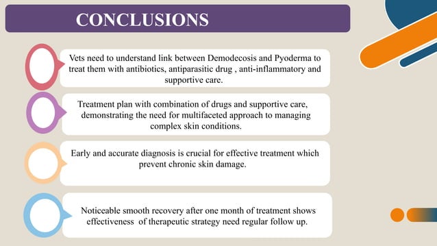 Diagnosis and Therapeutic Management of Canine Demodicosis and Pyoderma ...
