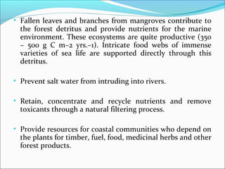 • Fallen leaves and branches from mangroves contribute to
the forest detritus and provide nutrients for the marine
environment. These ecosystems are quite productive (350
– 500 g C m–2 yrs.–1). Intricate food webs of immense
varieties of sea life are supported directly through this
detritus.
• Prevent salt water from intruding into rivers.
• Retain, concentrate and recycle nutrients and remove
toxicants through a natural filtering process.
• Provide resources for coastal communities who depend on
the plants for timber, fuel, food, medicinal herbs and other
forest products.
 