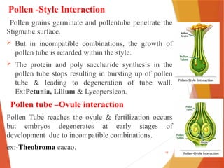 Incompatible Development Self Incompatibility in plants and Its role in crop improvement.pptx