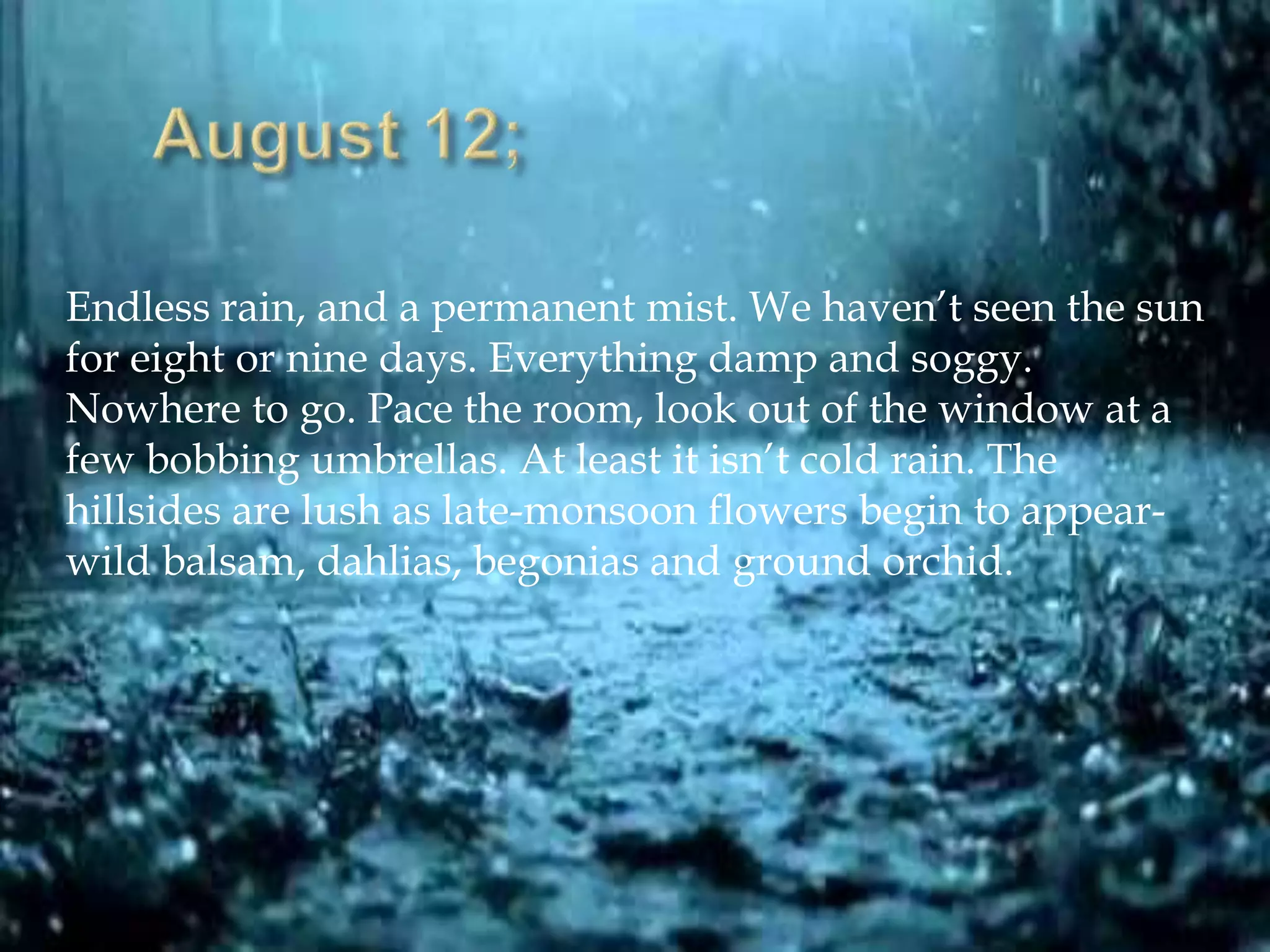 Endless rain, and a permanent mist. We haven’t seen the sun
for eight or nine days. Everything damp and soggy.
Nowhere to go. Pace the room, look out of the window at a
few bobbing umbrellas. At least it isn’t cold rain. The
hillsides are lush as late-monsoon flowers begin to appear-
wild balsam, dahlias, begonias and ground orchid.
 