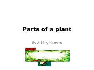 Parts of a plant
By Ashley Hansen

 