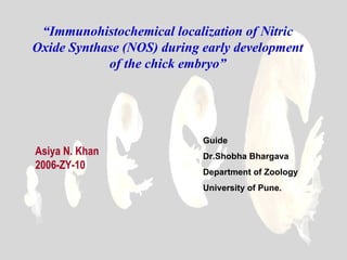 “Immunohistochemical localization of Nitric
Oxide Synthase (NOS) during early development
            of the chick embryo”




                            Guide
Asiya N. Khan               Dr.Shobha Bhargava
2006-ZY-10
                            Department of Zoology
                            University of Pune.
 