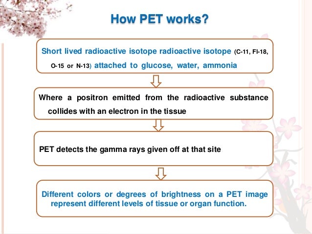 positron emission tomography imaging of drug induced tumor how a pet scan works