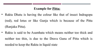 Example for Pitta:
• Rakta Dhatu is having the colour like that of insect Indragopa
(red), red lotus or like Gunja which is because of the Pitta
(Ranjaka Pitta).
• Rakta is said to be Asamhata which means neither too thick and
neither too thin, is due to the Drava Guna of Pitta which is
needed to keep the Rakta in liquid state
 