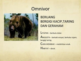 Omnivor
BERUANG
BERGIGI KACIP,TARING
DAN GERAHAM
LITUPAN – berbulu tebal.
ANGGOTA – berkaki empat, berkuku tajam,
bergigi taring.
CARA MEMBIAK – melahirkan anak.
HABITAT – darat.
 