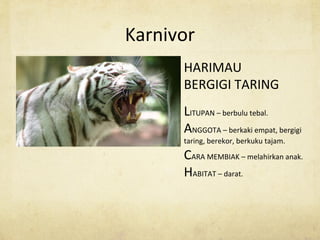 Karnivor
HARIMAU
BERGIGI TARING
LITUPAN – berbulu tebal.
ANGGOTA – berkaki empat, bergigi
taring, berekor, berkuku tajam.
CARA MEMBIAK – melahirkan anak.
HABITAT – darat.
 