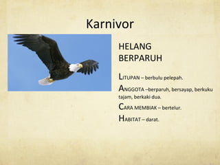 Karnivor
HELANG
BERPARUH
LITUPAN – berbulu pelepah.
ANGGOTA –berparuh, bersayap, berkuku
tajam, berkaki dua.
CARA MEMBIAK – bertelur.
HABITAT – darat.
 