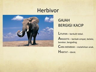 Herbivor
GAJAH
BERGIGI KACIP
LITUPAN – berkulit tebal.
ANGGOTA – berkaki empat, belalai,
berekor, bergading.
CARA MEMBIAK – melahirkan anak.
HABITAT – darat.
 