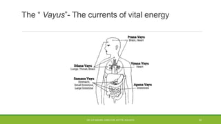 The “ Vayus”- The currents of vital energy
DR. D.P.MISHRA, DIRECTOR, NITTTR, KOLKATA 33
 