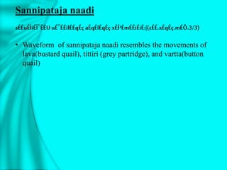 Sannipataja naadi
sÉÉuÉÌiÉÌ¨ÉËUuÉ¨ÉÉïlÉÉqÉç aÉqÉlÉqÉç xÉÍ³ÉmÉÉiÉiÉ:|(zÉÉ.xÉqÉç.mÉÔ.3/3)
• Waveform of sannipataja naadi resembles the movements of
lava(bustard quail), tittiri (grey partridge), and vartta(button
quail)
 