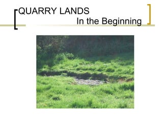 QUARRY LANDS   In the Beginning 