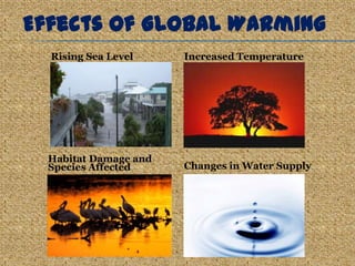 Effects of Global Warming
  Rising Sea Level     Increased Temperature




  Habitat Damage and
  Species Affected     Changes in Water Supply
 