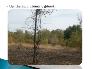    Աշունը նաև տխուր է լինում...
 