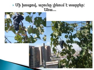    Մի խոսքով, աշունը լինում է տարբեր:
                 Ահա...
 