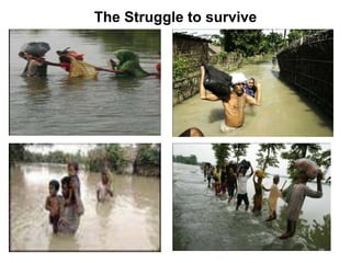 The Struggle to survive
 