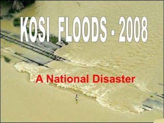 A National Disaster
 