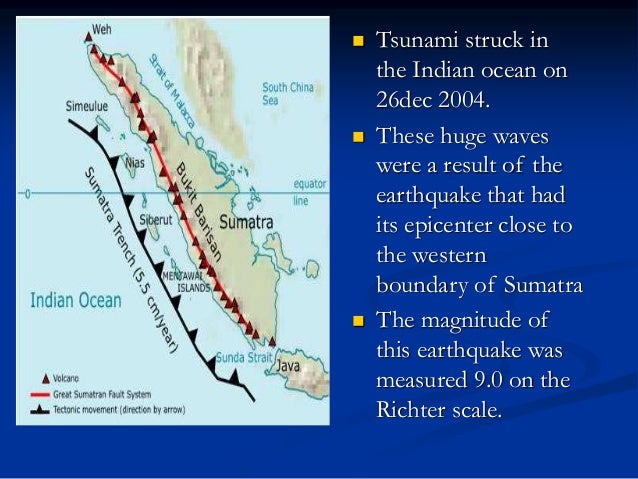 Case study of tsunami in indonesia image