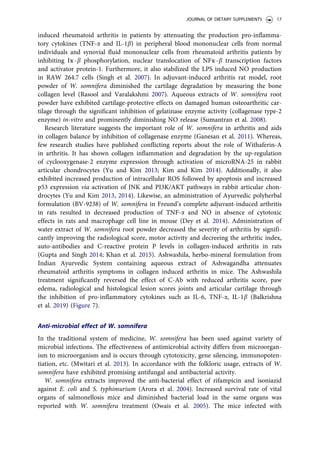 induced rheumatoid arthritis in patients by attenuating the production pro-inflamma-
tory cytokines (TNF-a and IL-1b) in peripheral blood mononuclear cells from normal
individuals and synovial fluid mononuclear cells from rheumatoid arthritis patients by
inhibiting Iҡ-b phosphorylation, nuclear translocation of NFҡ-b transcription factors
and activator protein-1. Furthermore, it also stabilized the LPS induced NO production
in RAW 264.7 cells (Singh et al. 2007). In adjuvant-induced arthritis rat model, root
powder of W. somnifera diminished the cartilage degradation by measuring the bone
collagen level (Rasool and Varalakshmi 2007). Aqueous extracts of W. somnifera root
powder have exhibited cartilage-protective effects on damaged human osteoarthritic car-
tilage through the significant inhibition of gelatinase enzyme activity (collagenase type-2
enzyme) in-vitro and prominently diminishing NO release (Sumantran et al. 2008).
Research literature suggests the important role of W. somnifera in arthritis and aids
in collagen balance by inhibition of collagenase enzyme (Ganesan et al. 2011). Whereas,
few research studies have published conflicting reports about the role of Withaferin-A
in arthritis. It has shown collagen inflammation and degradation by the up-regulation
of cyclooxygenase-2 enzyme expression through activation of microRNA-25 in rabbit
articular chondrocytes (Yu and Kim 2013; Kim and Kim 2014). Additionally, it also
exhibited increased production of intracellular ROS followed by apoptosis and increased
p53 expression via activation of JNK and PI3K/AKT pathways in rabbit articular chon-
drocytes (Yu and Kim 2013, 2014). Likewise, an administration of Ayurvedic polyherbal
formulation (BV-9238) of W. somnifera in Freund’s complete adjuvant-induced arthritis
in rats resulted in decreased production of TNF-a and NO in absence of cytotoxic
effects in rats and macrophage cell line in mouse (Dey et al. 2014). Administration of
water extract of W. somnifera root powder decreased the severity of arthritis by signifi-
cantly improving the radiological score, motor activity and decreeing the arthritic index,
auto-antibodies and C-reactive protein P levels in collagen-induced arthritis in rats
(Gupta and Singh 2014; Khan et al. 2015). Ashwashila, herbo-mineral formulation from
Indian Ayurvedic System containing aqueous extract of Ashwagandha attenuates
rheumatoid arthritis symptoms in collagen induced arthritis in mice. The Ashwashila
treatment significantly reversed the effect of C-Ab with reduced arthritis score, paw
edema, radiological and histological lesion scores joints and articular cartilage through
the inhibition of pro-inflammatory cytokines such as IL-6, TNF-a, IL-1b (Balkrishna
et al. 2019) (Figure 7).
Anti-microbial effect of W. somnifera
In the traditional system of medicine, W. somnifera has been used against variety of
microbial infections. The effectiveness of antimicrobial activity differs from microorgan-
ism to microorganism and is occurs through cytotoxicity, gene silencing, immunopoten-
tiation, etc. (Mwitari et al. 2013). In accordance with the folkloric usage, extracts of W.
somnifera have exhibited promising antifungal and antibacterial activity.
W. somnifera extracts improved the anti-bacterial effect of rifampicin and isoniazid
against E. coli and S. typhimurium (Arora et al. 2004). Increased survival rate of vital
organs of salmonellosis mice and diminished bacterial load in the same organs was
reported with W. somnifera treatment (Owais et al. 2005). The mice infected with
JOURNAL OF DIETARY SUPPLEMENTS 17
 