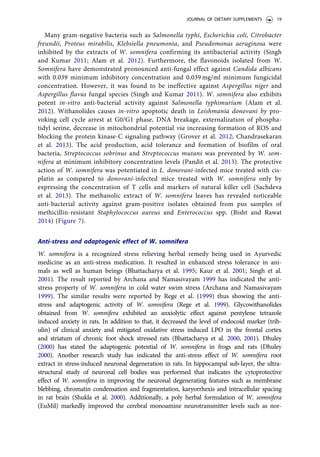 Many gram-negative bacteria such as Salmonella typhi, Escherichia coli, Citrobacter
freundii, Proteus mirabilis, Klebsiella pneumonia, and Pseudomonas aeruginosa were
inhibited by the extracts of W. somnifera confirming its antibacterial activity (Singh
and Kumar 2011; Alam et al. 2012). Furthermore, the flavonoids isolated from W.
Somnifera have demonstrated pronounced anti-fungal effect against Candida albicans
with 0.039 minimum inhibitory concentration and 0.039 mg/ml minimum fungicidal
concentration. However, it was found to be ineffective against Aspergillus niger and
Aspergillus flavus fungal species (Singh and Kumar 2011). W. somnifera also exhibits
potent in-vitro anti-bacterial activity against Salmonella typhimurium (Alam et al.
2012). Withanolides causes in-vitro apoptotic death in Leishmania donovani by pro-
voking cell cycle arrest at G0/G1 phase, DNA breakage, externalization of phospha-
tidyl serine, decrease in mitochondrial potential via increasing formation of ROS and
blocking the protein kinase-C signaling pathway (Grover et al. 2012; Chandrasekaran
et al. 2013). The acid production, acid tolerance and formation of biofilm of oral
bacteria, Streptococcus sobrinus and Streptococcus mutans was prevented by W. som-
nifera at minimum inhibitory concentration levels (Pandit et al. 2013). The protective
action of W. somnifera was potentiated in L. donovani-infected mice treated with cis-
platin as compared to donovani-infected mice treated with W. somnifera only by
expressing the concentration of T cells and markers of natural killer cell (Sachdeva
et al. 2013). The methanolic extract of W. somnifera leaves has revealed noticeable
anti-bacterial activity against gram-positive isolates obtained from pus samples of
methicillin-resistant Staphylococcus aureus and Enterococcus spp. (Bisht and Rawat
2014) (Figure 7).
Anti-stress and adaptogenic effect of W. somnifera
W. somnifera is a recognized stress relieving herbal remedy being used in Ayurvedic
medicine as an anti-stress medication. It resulted in enhanced stress tolerance in ani-
mals as well as human beings (Bhattacharya et al. 1995; Kaur et al. 2001; Singh et al.
2001). The result reported by Archana and Namasivayam 1999 has indicated the anti-
stress property of W. somnifera in cold water swim stress (Archana and Namasivayam
1999). The similar results were reported by Rege et al. (1999) thus showing the anti-
stress and adaptogenic activity of W. somnifera (Rege et al. 1999). Glycowithanolides
obtained from W. somnifera exhibited an anxiolytic effect against pentylene tetrazole
induced anxiety in rats. In addition to that, it decreased the level of endocoid marker (trib-
ulin) of clinical anxiety and mitigated oxidative stress induced LPO in the frontal cortex
and striatum of chronic foot shock stressed rats (Bhattacharya et al. 2000, 2001). Dhuley
(2000) has stated the adaptogenic potential of W. somnifera in frogs and rats (Dhuley
2000). Another research study has indicated the anti-stress effect of W. somnifera root
extract in stress-induced neuronal degeneration in rats. In hippocampal sub-layer, the ultra-
structural study of neuronal cell bodies was performed that indicates the cytoprotective
effect of W. somnifera in improving the neuronal degenerating features such as membrane
blebbing, chromatin condensation and fragmentation, karyorrhexis and intracellular spacing
in rat brain (Shukla et al. 2000). Additionally, a poly herbal formulation of W. somnifera
(EuMil) markedly improved the cerebral monoamine neurotransmitter levels such as nor-
JOURNAL OF DIETARY SUPPLEMENTS 19
 
