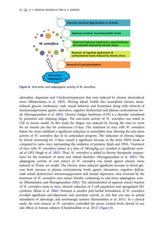 adrenaline, dopamine and 5-hydroxytryptamine that were induced by chronic electroshock
stress (Bhattacharya et al. 2002). Moving ahead, EuMil also normalized chronic stress-
induced glucose intolerance, male sexual behavior and frustration along with retrieval of
immunosuppression, gastric ulceration, cognitive dysfunction and plasma corticosterone lev-
els (Muruganandam et al. 2002). Chronic Fatigue Syndrome (CFS) is a disorder considered
by persistent and relapsing fatigue. The anti-stress activity of W. somnifera was tested in
CSF in mouse model. In this study the fatigue was induced by forcing the mice to swim
for six minute per day for continuous 15days. The treatment of mice with W. somnifera
before the stress exhibited a significant reduction in immobility time showing the anti-stress
activity of W. somnifera due to its antioxidant property. The induction of chronic fatigue
by forced swimming for 15days caused a significant increase in the brain MDA levels as
compared to naïve mice representing the oxidation of proteins, lipids and DNA. Treatment
of mice with W. somnifera extract at a dose of 100mg/kg, p.o. resulted in significant rever-
sal of LPO (Singh et al. 2002). Thus, W. somnifera is added in diverse therapeutic prepara-
tions for the treatment of stress and related disorders (Muruganandam et al. 2002). The
adaptogenic activity of root extract of W. somnifera was tested against chronic stress
induced in Wistar rat model. The chronic stress induced significant increase in blood glu-
cose level, increase in plasma corticosterone levels, gastric ulcerations, cognitive deficits,
male sexual dysfunction; immunosuppression and mental depression were reversed by the
treatment of W. somnifera root extract thereby confirming its anti-stress adaptogenic activ-
ity (Bhattacharya and Muruganandam 2003). The administration of aqueous extract fraction
of W. somnifera roots in mice, showed reduction of T-cell population and upregulated Th1
cytokines (Khan et al. 2006). Perment is another poly-herbal formulation of W. somnifera
revealed significant anti-depressant and anxiolytic activity in rats that was due to partial
stimulation of adrenergic and serotonergic systems (Ramanathan et al. 2011). In a clinical
study, the root extracts of W. somnifera controlled the serum cortisol levels devoid of any
side effects in human subjects (Chandrasekhar et al. 2012) (Figure 8).
Figure 8. Anti-stress and adaptogenic activity of W. somnifera.
20 D. S. MANDLIK (INGAWALE) AND A. G. NAMDEO
 