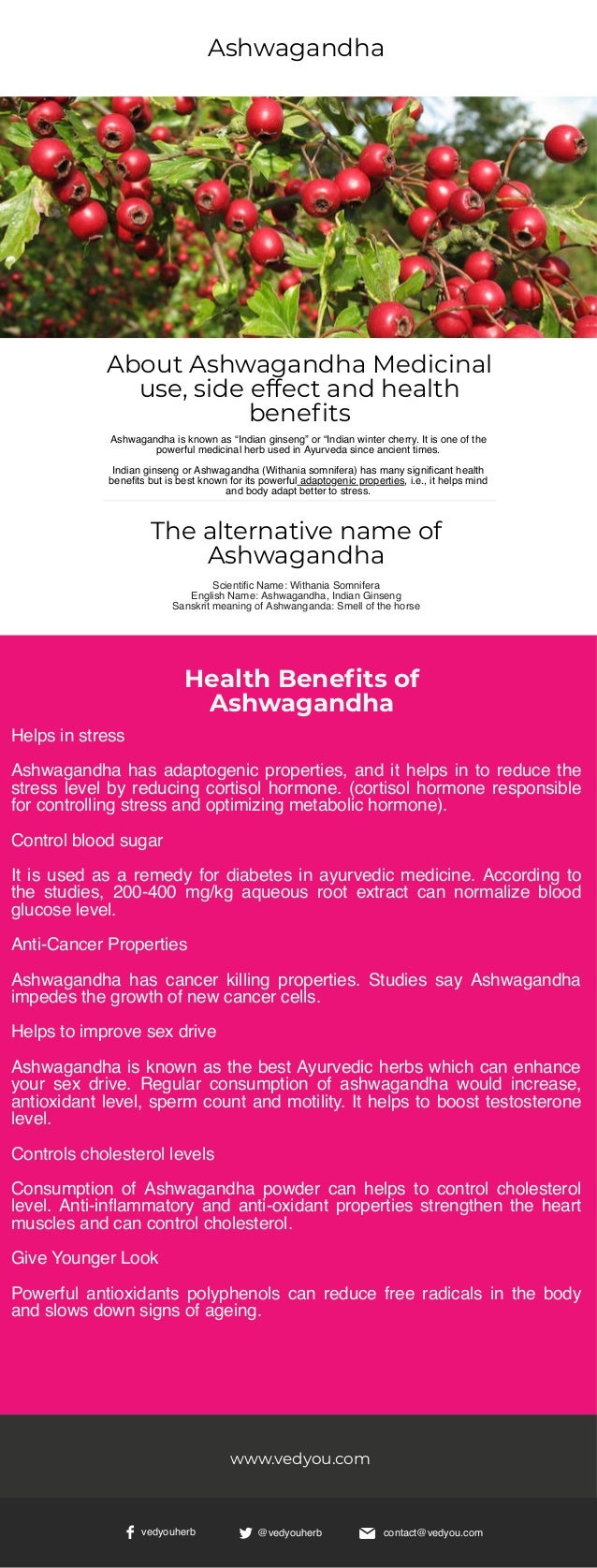 7 Proven Benefits Of Ashwagandha Medicinal Use Side Effect Medici