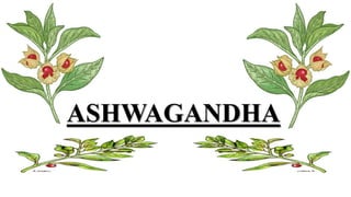 Ashwagandha.pptx
