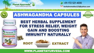 WWW.PLANETAYURVEDA.COM
+91-172-521-4030
herbalremedies123@yahoo.com
ASHWAGANDHA CAPSULES
BEST HERBAL SUPPLEMENT
FOR STRESS RELIEF, WEIGHT
GAIN AND BOOSTING
IMMUNITY NATURALLY
 