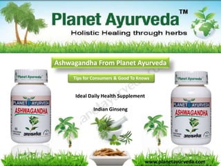 Ashwagandha From Planet Ayurveda
     Tips for Consumers & Good To Knows


      Ideal Daily Health Supplement

             Indian Ginseng




                                    www.planetayurveda.com
 