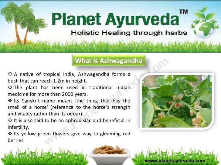 Ashwagandha medicinal uses in hindi their