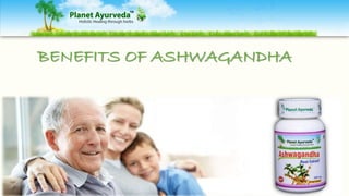 BENEFITS OF ASHWAGANDHA
 