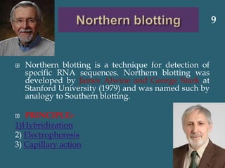  Northern blotting is a technique for detection of
specific RNA sequences. Northern blotting was
developed by James Alwine and George Stark at
Stanford University (1979) and was named such by
analogy to Southern blotting.
 PRINCIPLE:-
1)Hybridization
2) Electrophoresis
3) Capillary action
9
 