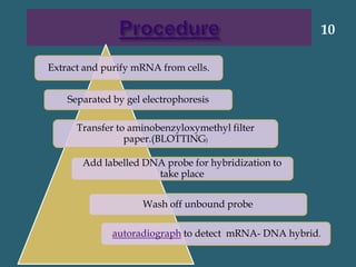 Extract and purify mRNA from cells.
Separated by gel electrophoresis
Transfer to aminobenzyloxymethyl filter
paper.(BLOTTING)
Add labelled DNA probe for hybridization to
take place
Wash off unbound probe
autoradiograph to detect mRNA- DNA hybrid.
10
 