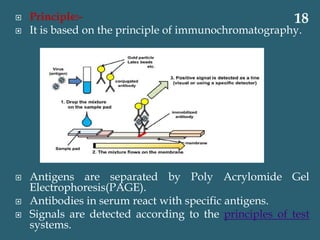  Principle:-
 It is based on the principle of immunochromatography.
 Antigens are separated by Poly Acrylomide Gel
Electrophoresis(PAGE).
 Antibodies in serum react with specific antigens.
 Signals are detected according to the principles of test
systems.
18
 