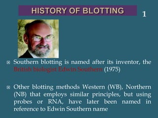  Southern blotting is named after its inventor, the
British biologist Edwin Southern (1975)
 Other blotting methods Western (WB), Northern
(NB) that employs similar principles, but using
probes or RNA, have later been named in
reference to Edwin Southern name
1
 