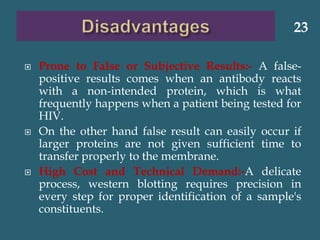  Prone to False or Subjective Results:- A false-
positive results comes when an antibody reacts
with a non-intended protein, which is what
frequently happens when a patient being tested for
HIV.
 On the other hand false result can easily occur if
larger proteins are not given sufficient time to
transfer properly to the membrane.
 High Cost and Technical Demand:-A delicate
process, western blotting requires precision in
every step for proper identification of a sample's
constituents.
23
 