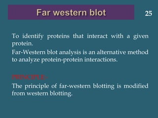 To identify proteins that interact with a given
protein.
Far-Western blot analysis is an alternative method
to analyze protein-protein interactions.
PRINCIPLE:-
The principle of far-western blotting is modified
from western blotting.
25
 
