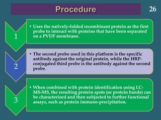 1
• Uses the natively-folded recombinant protein as the first
probe to interact with proteins that have been separated
on a PVDF membrane.
2
• The second probe used in this platform is the specific
antibody against the original protein, while the HRP-
conjugated third probe is the antibody against the second
probe.
3
• When combined with protein identification using LC-
MS-MS, the resulting protein spots (or protein bands) can
be characterized and then subjected to further functional
assays, such as protein immuno-precipitation.
26
 