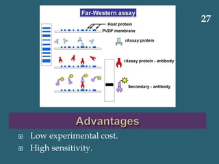  Low experimental cost.
 High sensitivity.
27
 