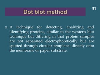  A technique for detecting, analyzing and
identifying proteins, similar to the western blot
technique but differing in that protein samples
are not separated electrophoretically but are
spotted through circular templates directly onto
the membrane or paper substrate.
31
 