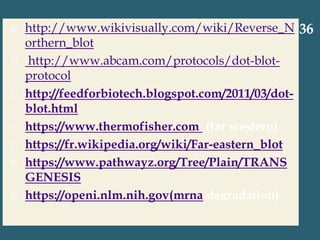  http://www.wikivisually.com/wiki/Reverse_N
orthern_blot
 http://www.abcam.com/protocols/dot-blot-
protocol
 http://feedforbiotech.blogspot.com/2011/03/dot-
blot.html
 https://www.thermofisher.com (far western)
 https://fr.wikipedia.org/wiki/Far-eastern_blot
 https://www.pathwayz.org/Tree/Plain/TRANS
GENESIS
 https://openi.nlm.nih.gov(mrna degradation)
36
 