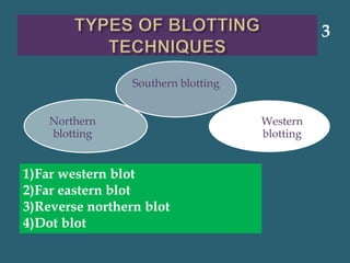 Southern blotting
Western
blotting
Northern
blotting
3
1)Far western blot
2)Far eastern blot
3)Reverse northern blot
4)Dot blot
 