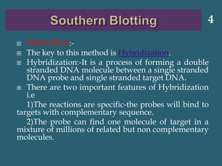  PRINCIPLE:-
 The key to this method is Hybridization.
 Hybridization:-It is a process of forming a double
stranded DNA molecule between a single stranded
DNA probe and single stranded target DNA.
 There are two important features of Hybridization
i.e
1)The reactions are specific-the probes will bind to
targets with complementary sequence.
2)The probe can find one molecule of target in a
mixture of millions of related but non complementary
molecules.
4
 