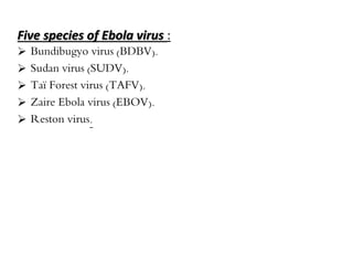 Five species of Ebola virus : 
 Bundibugyo virus (BDBV). 
 Sudan virus (SUDV). 
 Taï Forest virus (TAFV). 
 Zaire Ebola virus (EBOV). 
 Reston virus. 
 