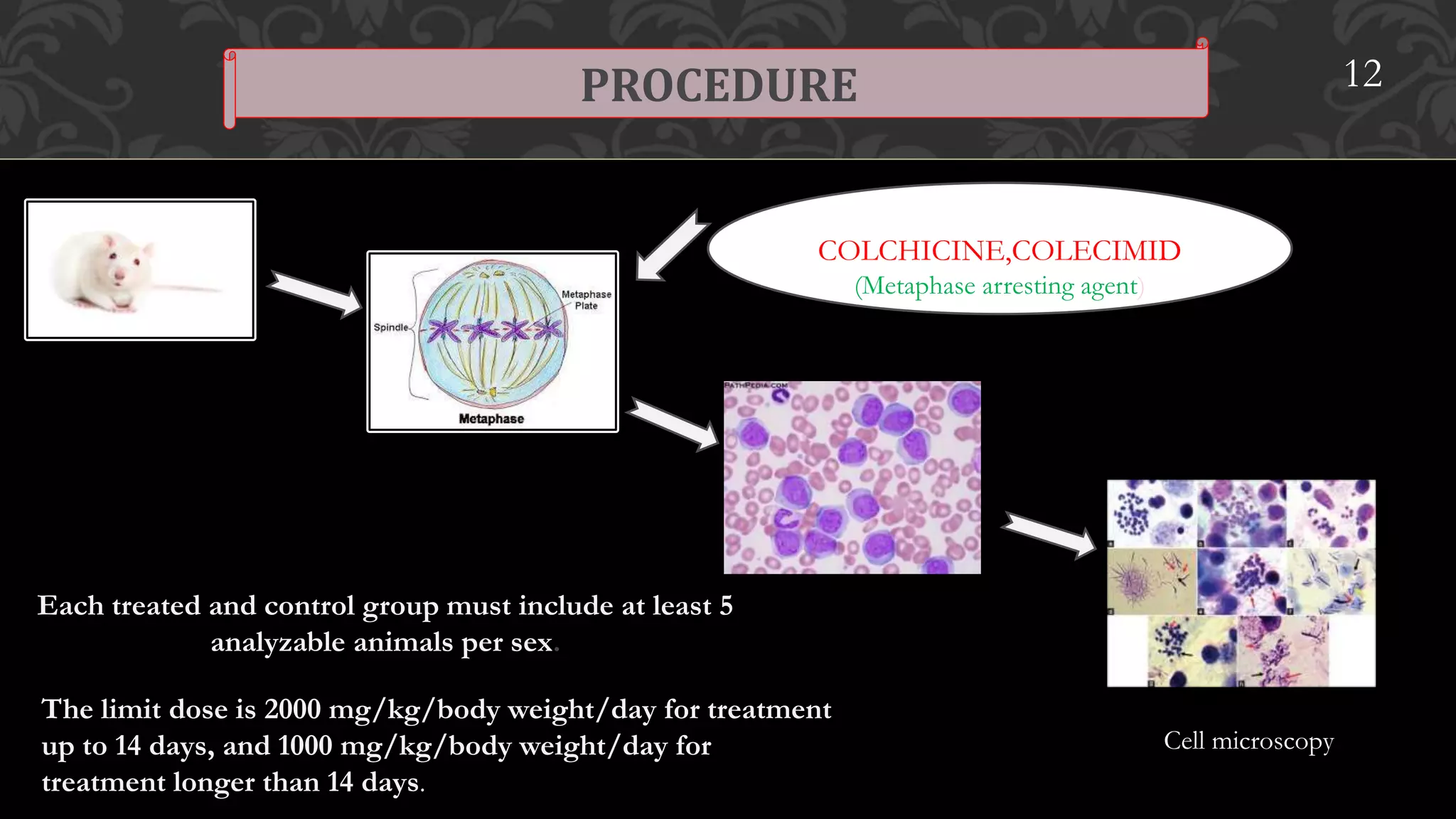 PROCEDURE 12
COLCHICINE,COLECIMID
(Metaphase arresting agent)
Each treated and control group must include at least 5
analyzable animals per sex.
The limit dose is 2000 mg/kg/body weight/day for treatment
up to 14 days, and 1000 mg/kg/body weight/day for
treatment longer than 14 days.
Cell microscopy
 