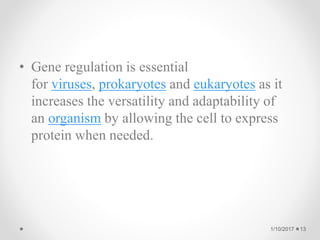 GENE REGULATION IN PROKARYOTES | PPTX