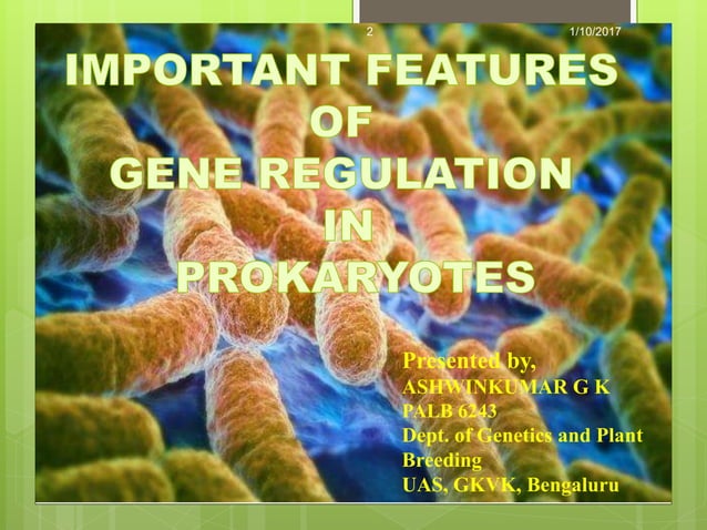 GENE REGULATION IN PROKARYOTES | PPTX | Genetics | Science