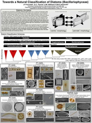 Towards a Natural Classification of Diatoms (Bacillariophyceae)
J.P. Kociolek1, E.C. Theriot2, D.M. Williams3 & M.P. Ashworth2
1 University of Colorado Museum of Natural History, Boulder, CO, 80309, USA
2 Department of Integrative Biology, University of Texas at Austin, Austin, TX, 78712, USA
3 Department of Life Sciences, Natural History Museum, London, UK
The diatoms are chlorophyll-c containing, heterokont algae which occur in marine and freshwater habits
as significant contributors to both the plankton and benthos. Diatoms are hyperdiverse, with estimates for
the number of diatom species range from 10,000 to over 100,000. Diatoms possess a unique, multi-part
silica shell—the frustule. The siliceous nature of this frustule makes diatoms important contributors to global
geochemical cycling of silica in the oceans and also provide a rich fossil history for diatom diversification.
The simplest distinction in valve morphology is in the symmetry of the valve—seen in the diagrams to the
right—between the radially-symmetrical “centric” cells (a), and the bilaterally-symmetrical “pennate” cells
(b). The utility of valve symmetry and other characters observable by light microscopy (spines, pore
fields, plastid morphology) served as the classical basis for diatom identification and classification,
but have been interpreted in such a way that the proposed high-level classification schemes named
groups which were non-monophyletic—”unnatural.”
The introduction of DNA characters to the diatom phylogeny has re-ignited the search for a classification
scheme which accurately reflects the evolution of the diatoms. Early attempts at a DNA-supported high-
level classification scheme have also ended up with non-monophyletic named groups. We are proposing a
new classification of the diatoms, using consistently-resolved, DNA-supported, as-yet unnamed
monophyletic groups (clades) as the basis for higher classification of the diatoms which will better
reflect their diversity and evolutionary history.
Diatoms: the basics
R1 R2 R3 P1 P2 P3 A1 A2 RAPHE
Bolidomonas
ML tree using nuclear SSU rRNA, chloroplast rbcL, psbC, psbA, psaA,
psaB, atpB from 208 taxa (Theriot et al. 2015)
Medlin & Kaczmarska 2004: based on nuclear-encoded rRNA sequence data (SSU)
Coscinodiscophyceae Mediophyceae Bacillariophyceae
Round, Crawford & Mann 1990: based on light and electron microscopy
Coscinodiscophyceae Fragilariophyceae Bacillariophyceae
Karsten 1928: based on light microscopy
Centrales Pennales
R1 clade
R2 clade
R3 clade
Diatom Classification Schemes
from Round, Crawford & Mann 1990 from Round, Crawford & Mann 1990
“centric” morphology “pennate” morphology
valve
valve
girdle
Representative genera:
Leptocylindrus, Tenuicylindrus, Corethon
Representative genera:
Ellerbeckia, Proboscia, Melosira, Aulacoseira, Paralia,
Endictya, Stephanopyxis, Podosira
Representative genera:
Rhizosolenia, Guinardia, Coscinodiscus, Actinocyclus,
Actinoptychus, Aulacodiscus
P1 clade
Representative genera:
Thalassiosira, Cyclotella, Triceratium, Odontella, Biddulphia, Attheya,
Lithodesmium, Ditylum, Eunotogramma
P2 clade
Representative genera:
Cerataulina, Eucampia, Hemiaulus, Chaetoceros, Bacteriastrum,
Acanthoceros, Urosolenia
P3 clade
Representative genera:
Trigonium, Lampriscus, Stictocyclus, Isthmia, Climacosphenia,
Chrysanthemodiscus, Toxarium, Ardissonea,
A1 clade A2 clade
RAPHE clade
Representative genera:
Striatella, Asterionellopsis,
Bleakeleya, Delphineis,
Rhaphoneis, Dimeregramma,
Plagiogramma
Representative genera:
Fragilaria, Synedra, Hyalosynedra, Staurosira,
Opephora, Diatoma, Cyclophora, Licmophora,
Tabularia, Asterionella, Grammatophora,
Thalassionema
Representative genera:
Eunotia, Nitzschia, Pseudo-nitzschia, Achnanthes, Gyrosigma, Navicula, Neidium, Caloneis,
Pinnularia, Fallacia, Stauroneis, Amphora, Entomoneis, Surirella, Phaeodactylum,
Gomphonema, Cymbella, Cocconeis, Mastogloia, Diploneis
Stephanopyxis turris—Live
Podosira baldjickiana—Live
Rhaphoneis amphiceros—Live
Lithodesmium undulatum—Live
Astrosyne radiata—Live Thalassionema sp.—LM
Ditylum brightwelli—SEM, frustuleCorethron hystrix—Live
Cerataulina pelagica—Live
Biddulphia tridens—Live
Attheya septentrionalis
SEM, frustule
Aulacodiscus oreganus—LM, valve
Trigonium formosum—Live
Leptocylindrus danicus
SEM, frustule
Leptocylindrus danicus—Live
Corethron sp.—SEM, valve
Proboscia sp.—Live
Rhizosolenia imbricata—Live
Guinardia striata—Live
Aulacoseira baicalensis
LM, valve
Endictya oceanica—SEM, valve Paralia sp.—SEM, valve
Actinocyclus octonarius—Live
Coscinodiscus cf granii—LM, valve
Trieres (Odontella) sinensis
Live
Chaetoceros cf didymus—Live
Eucampia zodiacus—SEM, valve Urosolenia eriensis—SEM, frustule
Cyclotella nana—SEM, valve
Hemiaulus hauckii—SEM, valves
Climacosphenia elongata—SEM, valves
Chrysanthemodiscus floriatus
LiveIsthmia minima—SEM, frustule
Striatella unipunctata
Live
Perideraion elongatum—Live
Perissonoё cruciata—SEM, valve
Plagiogramma sp.
SEM, valve
Microtabella interrupta—LiveStaurosira construens—SEM, valve
Opephora sp,—SEM, valve
Licmophora
abbreviata
LM, valve
Hyalosynedra sp.—LM, valve
Grammatophora cf macilenta—LM, frustule
Phaeodactylum tricornutum—SEM, valve
Surirella sp.—Live
Mastogloia sp.—Live
Didymosphenia geminata—LM, valve
image by T. Nakov
Diploneis budyana—SEM, valve
Meuniera membranacea—SEM, valve Climaconeis sp.—Live
Navicula sp.—LM, valve
Nitzschia sp.—SEM, valve
Neidium sp.—LM, valve
Nitzschia sp.—SEM, valvesNitzschia sp.—SEM, valve
Plagiogrammopsis sp.—SEM, frustule
 