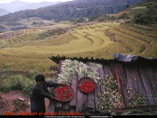 Bután -  Assecant el menjar a la teulada 